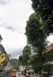 Keong Saik Road (D2), Retail #597451351